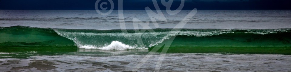 TASMANIA Breaker on the Tasman Sea